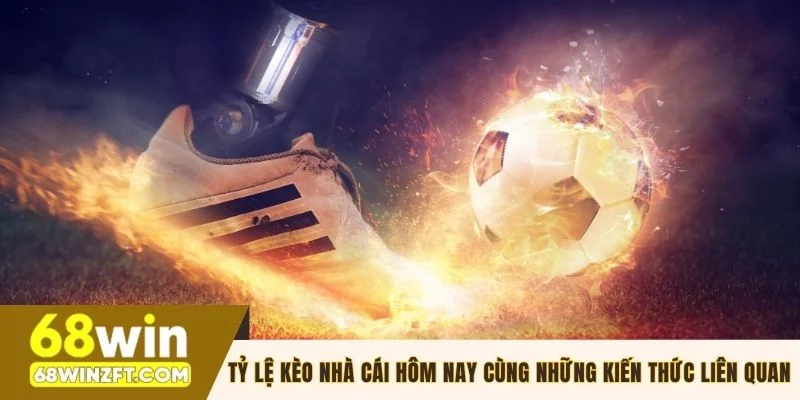 Kiến thức về tỷ lệ kèo nhà cái